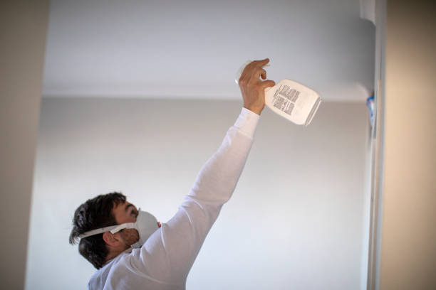 Best Fast Mold Removal  in Cobb Island, MD