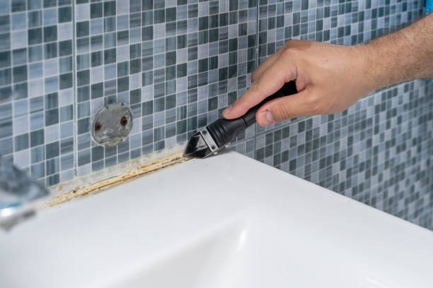 Mold Removal Process in Cobb Island, MD