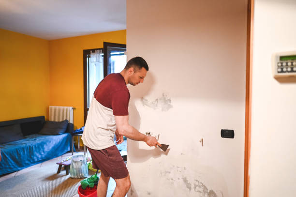 Best Office Mold Removal Services  in Cobb Island, MD